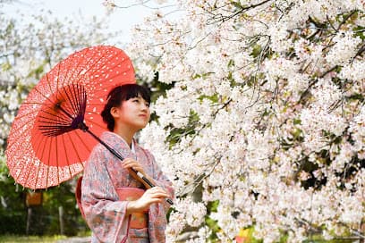 奈良きもの芸術専門学校