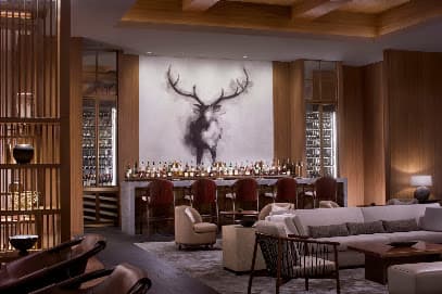 FLYING STAG